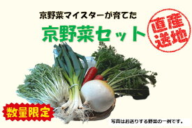 【ふるさと納税】先行予約【京やさい佐伯】京野菜セット ＜数量限定＞［ 京都 直売所 直送 京野菜 野菜 新鮮 旬 人気 おすすめ 美味しい 人気 お取り寄せ 通販 送料無料 ふるさと納税 ］