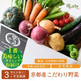 【ふるさと納税】＜3か月定期便＞【緑のゆうき】野菜の売上の1％が社会の応援に　京都産こだわりの野菜（有機野菜、栽培期間中農薬・化学肥料不使用など）の一番美味しいタイミングでお届けするセット（2024年7月、11月、12月の計3回）