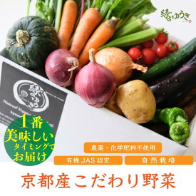 【ふるさと納税】《2024年6月より順次発送》【緑のゆうき】野菜の売上1％が社会の応援に　京都産こだわりの野菜（有機野菜、栽培期間中農薬・化学肥料不使用など）の一番美味しいタイミングで収穫したセット│京都市 京都 野菜 採れたて