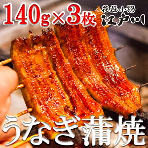 yӂ邳Ɣ[ŁzyԗVH@]ːz^VE3i140gE3j| Ȃ EiM V ^V V 140gx3 i  O n Mtg j j p ƒp ]ː 