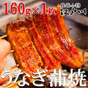 yӂ邳Ɣ[ŁzyԗVH@]ːz^VE1i160gE1j| Ȃ EiM V ^V V 160gx1 i  O n Mtg j j p ƒp ]ː 