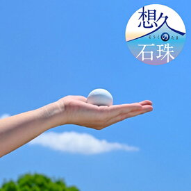 【ふるさと納税】【山川製陶所】想久の石珠　石珠のみ | 京都 京都市 京都府 山川製陶所 石珠 ペット 遺骨