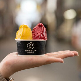 【ふるさと納税】【Premarché Gelateria】国際コンテスト入賞店の人気ジェラート6個セット Non-Milk set［ 京都 スイーツ 氷菓 おいしい 人気 おすすめ お取り寄せ お菓子 洋菓子 ］