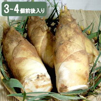 楽天市場】京都 山城 筍の通販