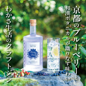 yӂ邳Ɣ[Łzy킩zu[x[hCWuBerry&Berryv700ml×1{ AR[x45x | s Tv u[x[AC No.1 lC    AR[ W N