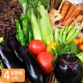 【ふるさと納税】〈4ヶ月定期便〉【アスカ有機農園】旬のこだわり京野菜セットS | 京都 京都市 京都府 野菜 京野菜 旬 季節 新鮮 セット 詰め合わせ 逸品 お取り寄せ グルメ