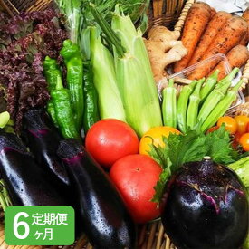 【ふるさと納税】〈6ヶ月定期便〉【アスカ有機農園】旬のこだわり京野菜セットS | 京都 京都市 京都府 野菜 京野菜 旬 季節 新鮮 セット 詰め合わせ 逸品 お取り寄せ グルメ