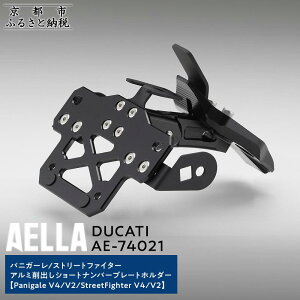 yӂ邳Ɣ[ŁzyAELLAzDUCATI pjK[/Xg[gt@C^[bA~oV[gio[v[gz_[(Panigale V4/V2/StreetFighter V4/V2) AE-74021m s oCN JX^ p[c lC 