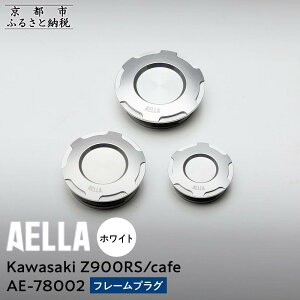 yӂ邳Ɣ[ŁzyAELLAzKawasaki Z900RS /cafebt[vO AE-78002 yJ[I\zm s oCN JX^ p[c lC  c[O C_[ oCJ[ [J[ MA JTL 