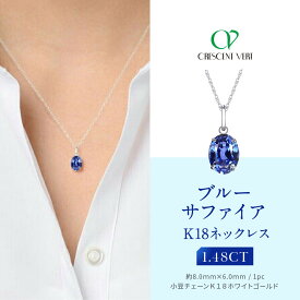 【ふるさと納税】【京セラ】クレサンベール〈サファイア〉ネックレス【オーバルカット/K18WG/9月誕生石/WPDS2663】 | オーバルカット K18WG 9月誕生石 京都 京都市 アクセサリー ジュエリー 宝石 ギフト 人気 贈り物 ご自宅用