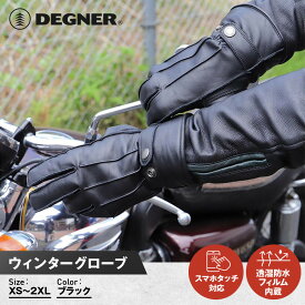 【ふるさと納税】【デグナー】ウィンターグローブ [WG-34]ブラック〈サイズ選択可能〉［ 京都 八王子 革 手袋 レザー グローブ バイクギア ブランド 大好評 人気 おすすめ 牛革 ツーリング ライダー バイカー バイク パーツ お取り寄せ 送料無料 ふるさと納税 ］ | DEGNER
