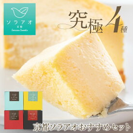 【ふるさと納税】【ソラアオ】京都ソラアオオススメセット（チーズケーキ）［ 京都 チーズケーキ専門店 スイーツ ケーキ 4種 食べ比べ 人気 おすすめ 洋菓子 コラボ いちご お取り寄せ 通販 送料無料 ふるさと納税 ］