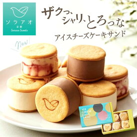 【ふるさと納税】【ソラアオ】アイスチーズケーキサンド［ 京都 チーズケーキ専門店 スイーツ アイス アイスサンド 人気 おすすめ 洋菓子 コラボ お取り寄せ 通販 送料無料 ふるさと納税 ］