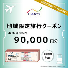 【ふるさと納税】京都府京都市 日本旅行 地域限定旅行クーポン90,000円分(ホテル、旅館、宿泊)［ 京都 旅行 クーポン ホテル 旅館 宿泊 観光 グルメ 人気 おすすめ ふるさと納税 ］ | 京都府 京都市 トラベル 宿泊 予約 旅行クーポン 人気 おすすめ