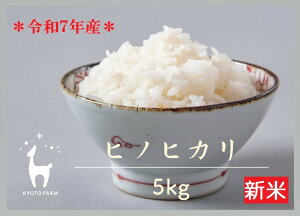 yӂ邳Ɣ[ŁzyVĐstzyst@[zߘa7NY st@[̃qmqJ 5kg m s kY Ђ̂Ђ lC   R   ʔ  ӂ邳