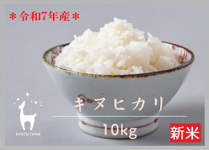 yӂ邳Ɣ[ŁzyVĐstzyst@[zߘa7NY st@[̃LkqJ 10kg m s kY ʂЂ lC   R   ʔ  ӂ