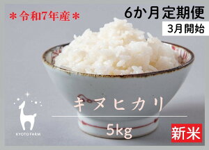yӂ邳Ɣ[Łzq6ցryVĐstzyst@[zߘa7NY st@[̃LkqJ 5kg m s Iׂ锭 kY ʂЂ lC   R  