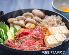 【ふるさと納税】【JA全農京都・有限会社もりた】九条ねぎと京の肉すき焼きセット（2人前） | 和牛 肉 国産肉 九条ねぎ すき焼き 鍋 京野菜 逸品 お取り寄せ グルメ ご当地 ギフト お土産 お祝い 内祝い JA全農京都 もりた 京都府 京都市