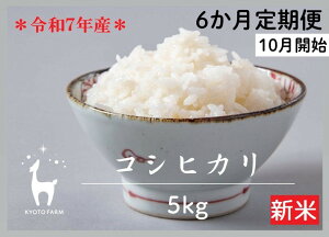 yӂ邳Ɣ[Łzq6ցryVĐstzyst@[zߘa7NY st@[̃RVqJ 5kg m s Iׂ锭 kY Ђ lC   R  