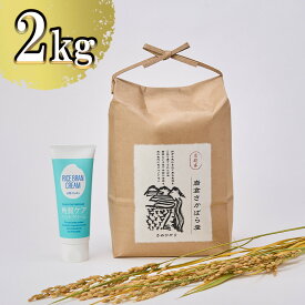 【ふるさと納税】【京都岩倉坂原米作りプロジェクト】京都岩倉さかばら産 きぬひかり(2kg)＆角質ケアハンドクリーム(60g×1個)［ 京都 グルメ おいしい 人気 おすすめ 米 コメ コスメ ギフト プレゼント 贈答 お取り寄せ 通販 送料無料 ふるさと納税 ］