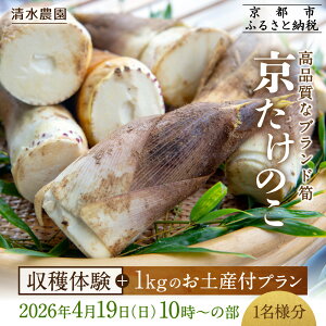 yӂ邳Ɣ[Łzy_zŵxň{1L̂yYtv 2026N419() (1)10`̕ 1lm s ^PmR lC  eq t@~[ q  