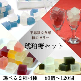 【ふるさと納税】【鶴屋光信】琥珀糖　選べるセット数 60個/120個［京都 フルーツ琥珀糖 和菓子 ギフト 詰合せ 高級 おすすめ ギフト プレゼント 贈答 お取り寄せ 送料無料］ | 琥珀糖 セット 寒天 ゼリー 和菓子 お菓子 ギフト 贈り物 京都市