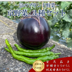 �ԗ�i�摜
