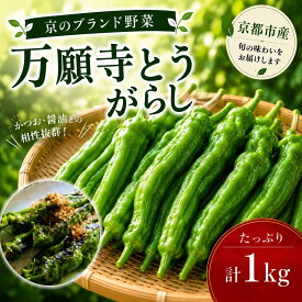【ふるさと納税】万願寺とうがらし（京野菜）1kg（目安30～35本） |京都 野菜 人気セット［ 京都 野菜 万願寺 とうがらし ご当地 人気 おすすめ 定番 セット おいしい ご自宅用 お取り寄せ 通販 送料無料 ふるさと納税 ］