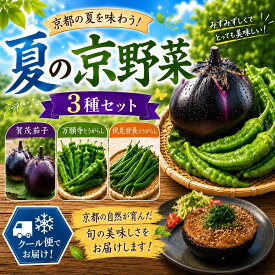 【ふるさと納税】夏の京野菜「3種セット」賀茂茄子・万願寺とうがらし・伏見とうがらし |京都 野菜 人気セット［ 京都 野菜 ご当地 人気 おすすめ 定番 セット おいしい ご自宅用 お取り寄せ 通販 送料無料 ふるさと納税 ］