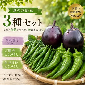 【ふるさと納税】夏の京野菜「3種セット」賀茂茄子・万願寺とうがらし・伏見とうがらし |京都 野菜 人気セット［ 京都 野菜 ご当地 人気 おすすめ 定番 セット おいしい ご自宅用 お取り寄せ 通販 送料無料 ふるさと納税 ］