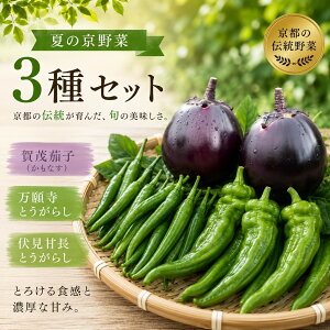 �ԗ�i�摜
