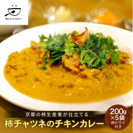 【ふるさと納税】【柿とスパイスカレー】柿チャツネのチキンカレー 柿ドライ付き 200g×5 [ DELICEキョウト カレー 京都大枝産富有柿 スパイス ドライフルーツ こだわり 簡単 時短 長期保存 グルメ おいしい おすすめ 洋食 家庭用 人気 ギフト プレゼント 贈答 ］