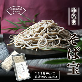 【ふるさと納税】半なま そば宝 2人前 (半なま麺80g×2・濃縮つゆ25ml×2) 蕎麦 そば 田舎蕎麦 挽きぐるみ粉 備蓄 保存食 常温 人気 【fc-ZB018】【有限会社やくの農業振興団】
