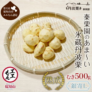 【ふるさと納税】【先行予約11月中旬発送】秦栗園のあま〜い氷蔵丹波栗 銀寄L むき500g【第1回福知山市ええもん認定】【熟成】 栗 くり 人気 和 スイーツ 高級 和菓子 栗菓子 ギフト プレゼ