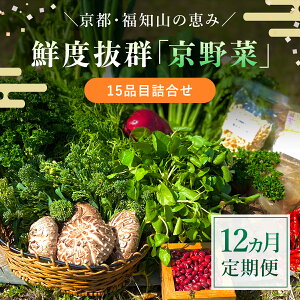 yӂ邳Ɣ[Łz y12ցzNxQu؁v15iڋl ӂ邳Ɣ[   VN 15i l  12 s{ mRs FCCM020