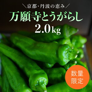 yӂ邳Ɣ[Łzy2025N6{JnIz莛Ƃ炵 2kg / ӂ邳Ɣ[   {̖ 莛Ƃ炵 ` s s{ mRs FCDB040