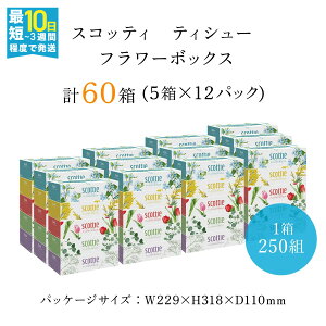 【ふるさと納税】【選べる配送月】スコッティ ティシュー フラワーボックス 250組 60箱 (1ケース5箱×12パック) ボックスティッシュ 箱 ティッシュ ティシュー 長持ち リピート 高品質 素敵 保