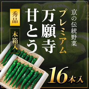 yӂ邳Ɣ[Łz 7JnIv~A莛ÂƂ 16{ ؔy2025Nzӂ邳Ɣ[  {̖ 莛 ÂƂ Ƃ炵 ^  Â 莛Ƃ炵 