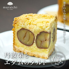【ふるさと納税】＜先行予約！2026年11月中旬より順次発送！＞丹波栗100%使用 丹波栗とエダムのタルト (4号12センチ・約400g) 人気 スイーツ ケーキ タルト 栗 くり お 菓子 誕生日 お祝い ギフト お取り寄せ 【fc-ZO003】【株式会社むらいち】