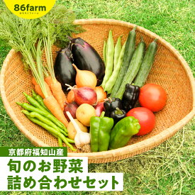 【ふるさと納税】 京都府福知山産　旬のお野菜詰め合わせセット ふるさと納税 旬の野菜 詰め合わせ セット 栽培期間中農薬 肥料不使用 京都府 福知山市 FCAM001