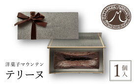 【ふるさと納税】洋菓子マウンテン　テリーヌ / スイーツ 洋菓子 チョコレート ショコラ ショコラティエ テリーヌ 長時間低温 蒸し焼き カカオの風味 なめらか ギフト プレゼント 福知山市 京都府 FCEA004