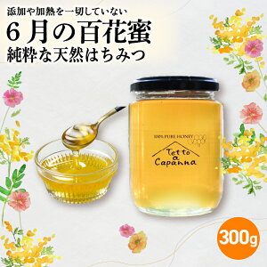 【ふるさと納税】選べる季節の天然はちみつ【5・6・7・8月の百花蜜 300g】 ハチミツ 蜂蜜 はちみつ ハニー honey 純粋はちみつ 国産 非加熱 無添加 百花蜜 甘い 京都府 福知山市