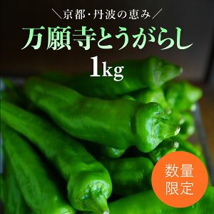 yӂ邳Ɣ[Łz y2025N6{JnIz莛Ƃ炵 1kg / ӂ邳Ɣ[   {̖ 莛Ƃ炵 ` s s{ mRs FCDB039
