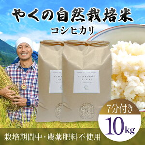 yӂ邳Ɣ[Łzߘa7NY ₭̎R͔| RVqJ iIׂ ĕ@EeʁFāE7ÂE / 5kg E 10kg j / R͔| R͔|  R   7Â   