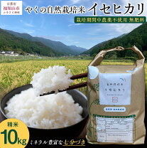 楽天市場】イセヒカリの通販 