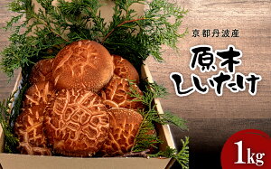 yӂ邳Ɣ[Łzys\zy2025N12{蔭JnIz sOgY@؂@1kg yӂ邳Ɣ[  VC^P ő  ƍ͔| ϕ uߕ s{ mRsz FCFB005