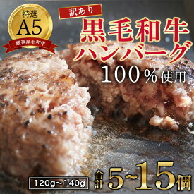 【ふるさと納税】 【訳あり】 黒毛和牛 A5 ハンバーグ 120g〜140g 5個 / 10個 / 15個 / 11個 A5ランク 国産 真空パック 個包装 冷凍 人気 おすすめ お取り寄せ おすすめ 人気 ギフト 贈り物 プレゼント 贈答 好評 京都 舞鶴 舞鶴市 ABCフーズ