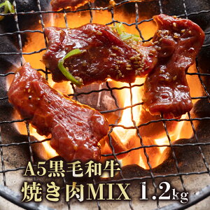 yӂ邳Ɣ[Łz A5 јa ēMIX 600g / 1.2kg 150gpbN Ⓚ Ɛ |h t ݍ Ăp BBQ ~bNX   Jr [X l Mtg Ε Ε  