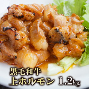 yӂ邳Ɣ[Łz јa z 600g / 1.2kg 150gpbN Ⓚ ` ^ |h gz Yz z Ă t BBQ o[xL[ l Mtg v[g  