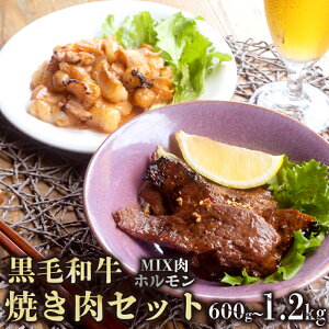yӂ邳Ɣ[Łz A5 јa ēpMIXz Zbg 600g / 1.2kg 150gpbN Ⓚ Hה Ɛ |h ^ t ĂZbg BBQ   Y l Mtg Ε v[
